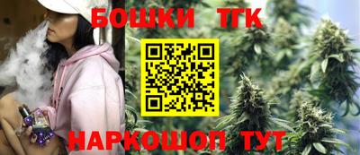 индика Кулебаки