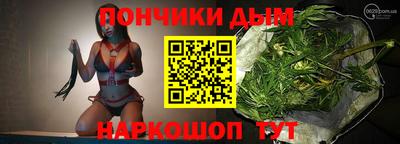 индика Кулебаки