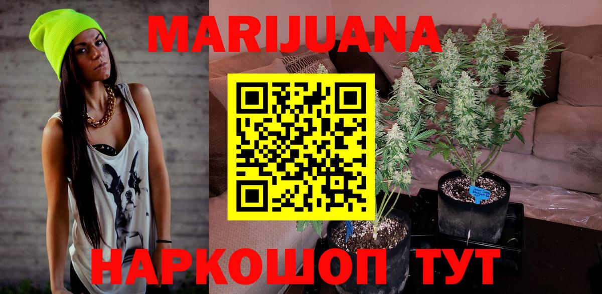 Бошки Шишки сатива Изобильный